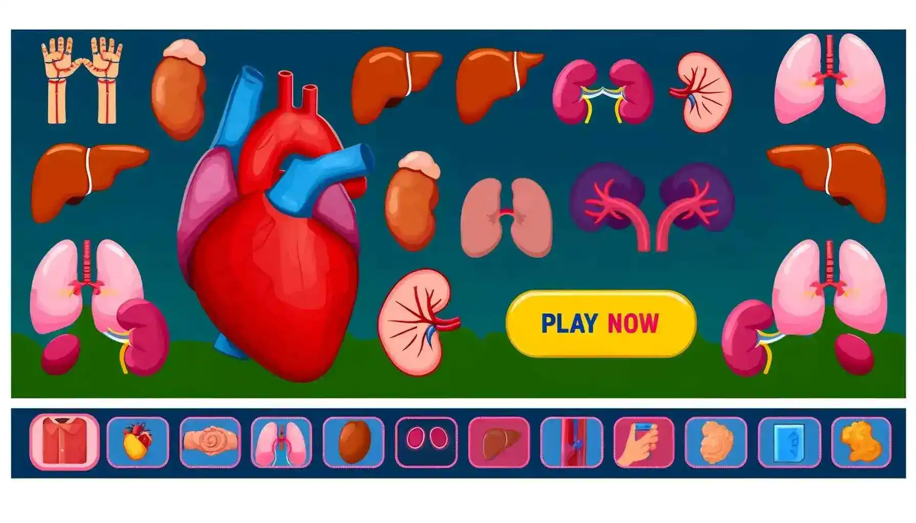 Juego del cuerpo humano gratis